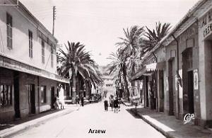 Arzew 309